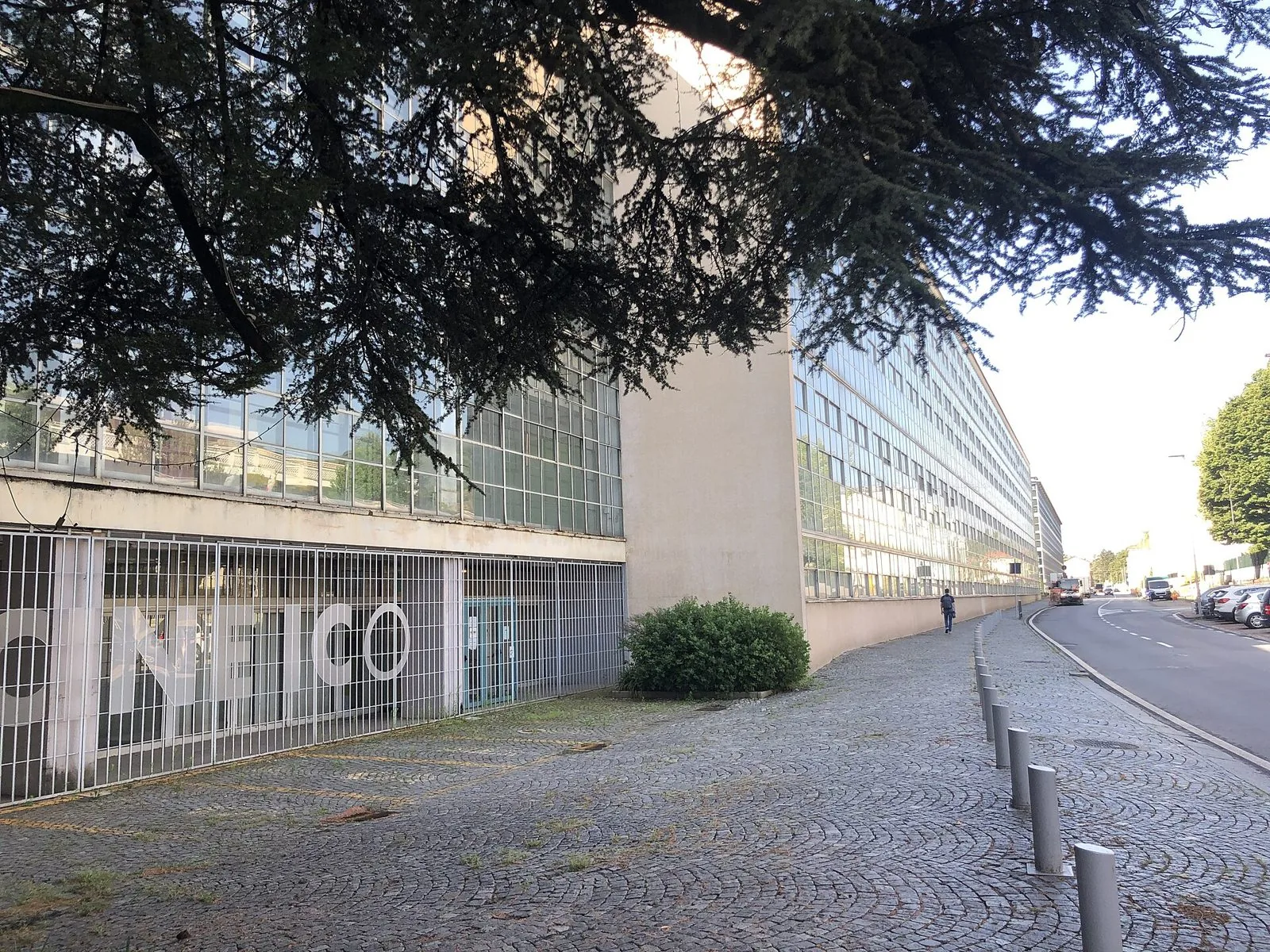La lunga facciata vetrata delle Officine ICO Olivetti lungo corso Jervis a Ivrea, con un grande cedro in primo piano